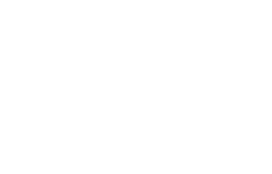 logo 300px