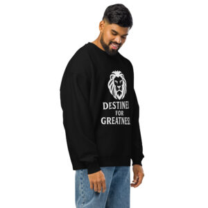 sweat oversize écologique